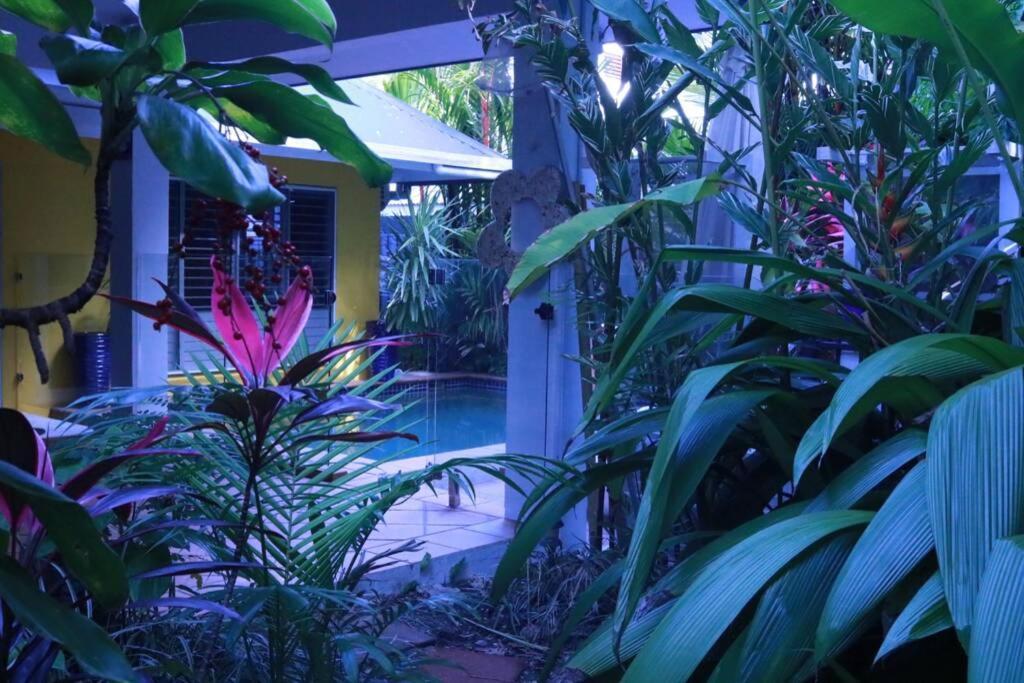 Beauty Tiny Walk To Sea Villa Port Douglas Luaran gambar