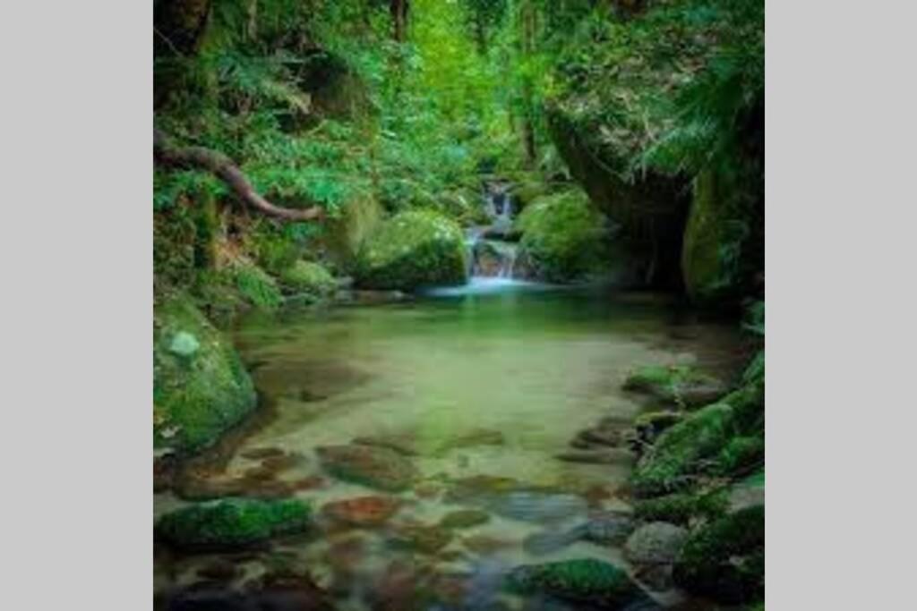 Beauty Tiny Walk To Sea Villa Port Douglas Luaran gambar