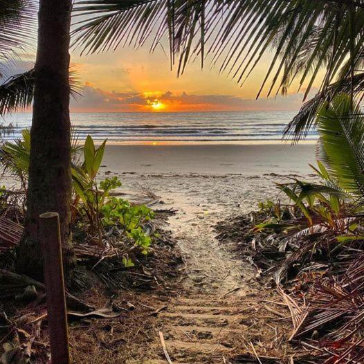Beauty Tiny Walk To Sea Villa Port Douglas Luaran gambar